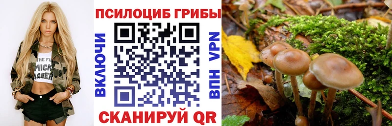 что такое наркотик Новоаннинский Галлюциногенные грибы Magic Shrooms